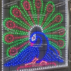 Peacock with Border